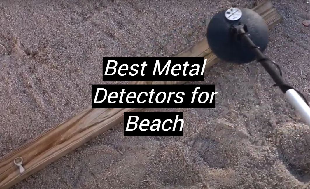 Top 5 Best Metal Detectors for Beach [August 2024 Review] MetalProfy