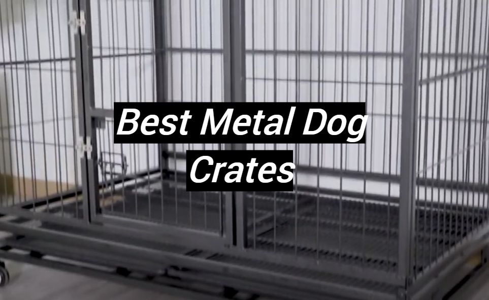 Top 5 Best Metal Dog Crates [September 2024 Review] MetalProfy
