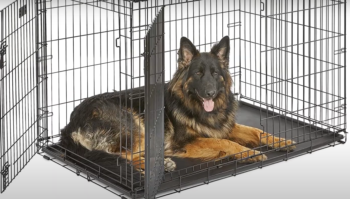 Top 5 Best Metal Dog Crates [September 2024 Review] MetalProfy