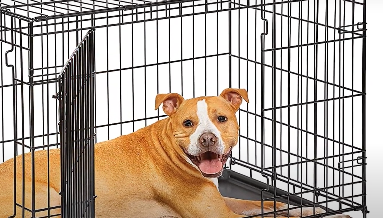 Top 5 Best Metal Dog Crates [September 2024 Review] MetalProfy