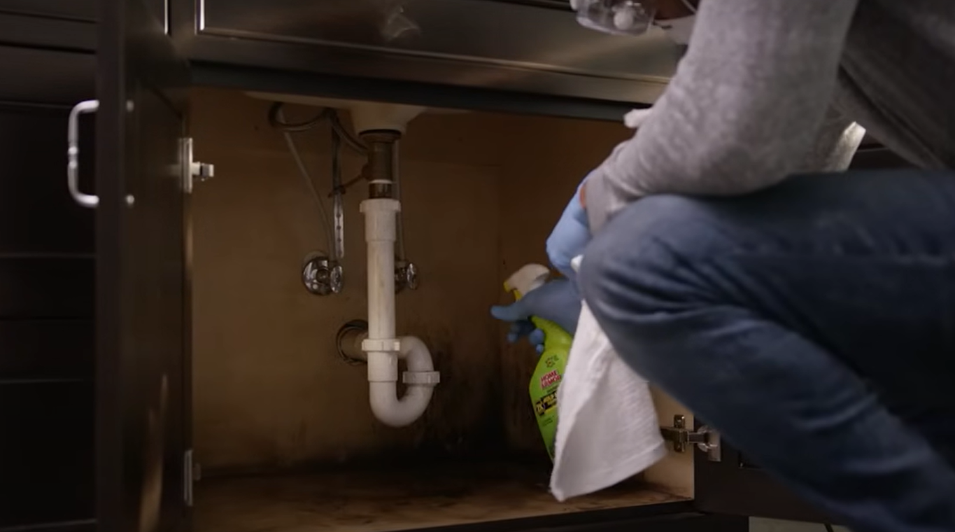 Can Mold Grow on Metal? MetalProfy