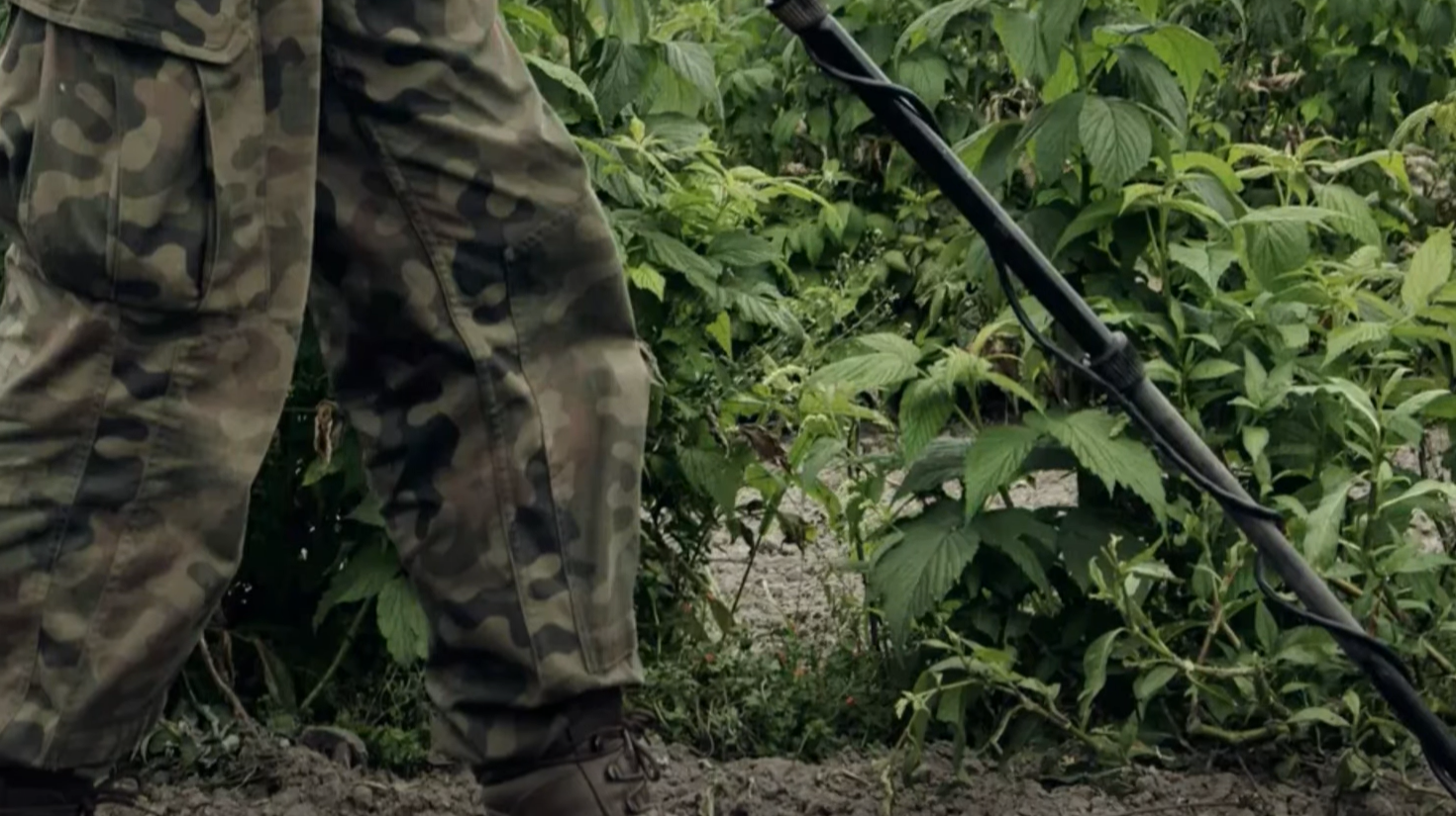 What Metal Detector Does Gary Drayton Use? MetalProfy