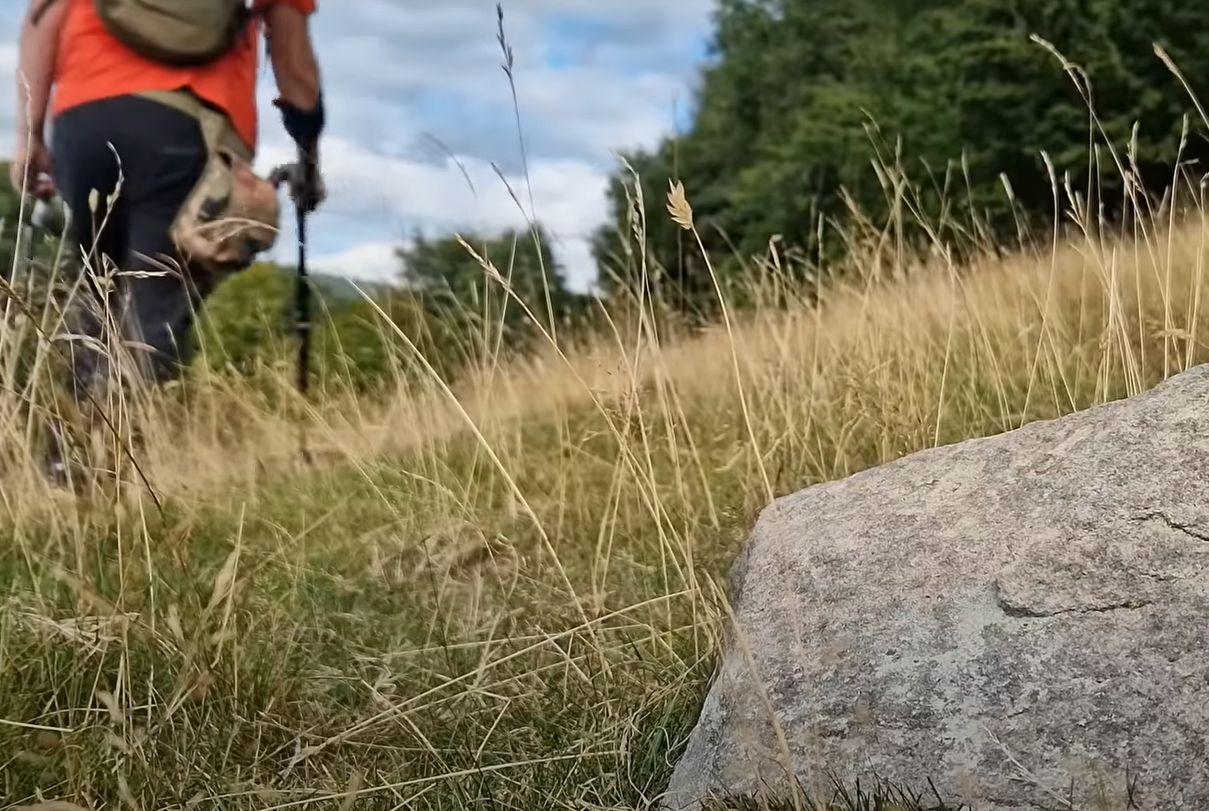 What Metals Cannot Be Detected by a Metal Detector? MetalProfy